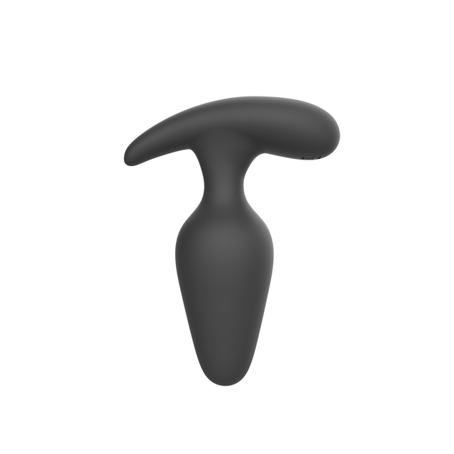 Masajeador de próstata vibrante deportivo Control remoto 10 velocidades Vibrador de punto G Juguete sexual anal