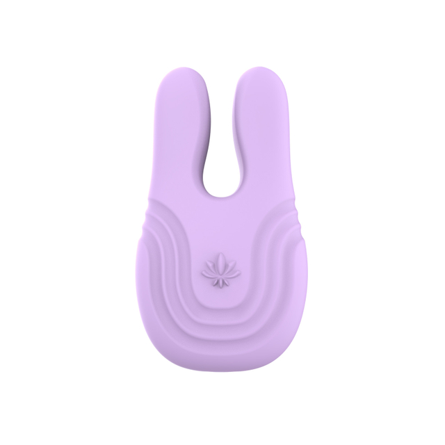 Minivibrador